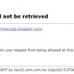 Company Blocked Domains
