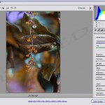 Opening RAW photo formats in Photoshop