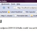 Permalinks Setting for Localhost