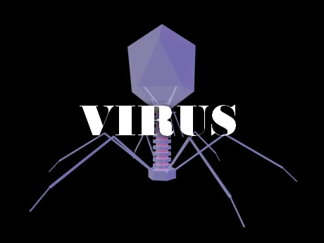 virus infection