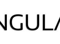 AngularJS